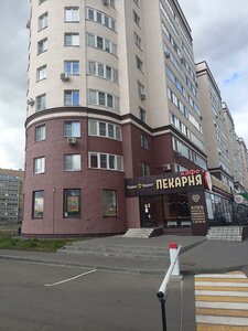 Ladozhskaya Street, 157, Penza: photo