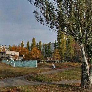 Raisy Okipnoi Street, 7А, Kyiv: photo