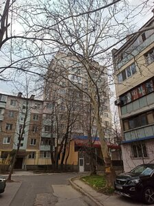 Traian boulevard, 15, : foto