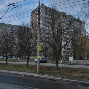 Pravdy Avenue, 98, Kyiv: photo