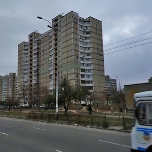 Akademika Yefremova Street, 9, Kyiv: photo