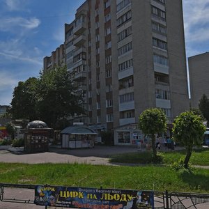 Трускавец, Стебникская улица, 80: фото