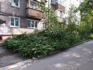 Krupskoy Street, 40, Perm: photo