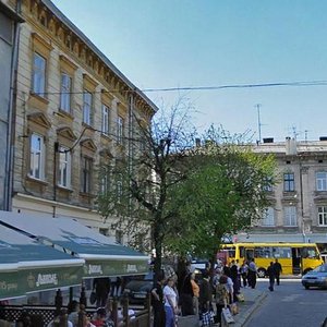 Horodotska vulytsia, 106, Lviv: photo