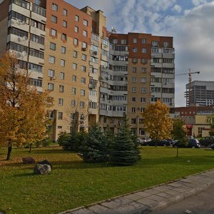 Mielnikajte Street, 8, Minsk: photo