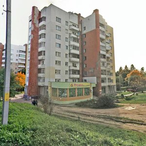 Galadzieda Street, 75, Minsk: photo