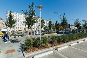 Москва, Улица Пречистенка, 39/22: фото