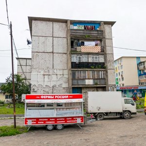 Dobrovolskogo Street, 29, Vladivostok: photo