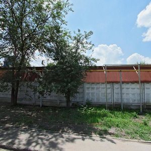 Kazakov kóshesi, 4, : foto