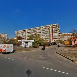 Serzha Lyfaria Street, 4, Kyiv: photo