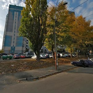 Nauky Avenue, 54Б, Kyiv: photo