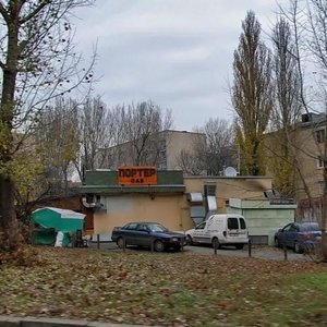 Marshala Rybalka Street, 10 ، كييف: صورة