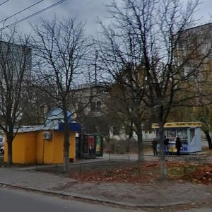 Romena Rollana Boulevard, 7, Kyiv: photo