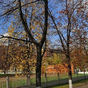 Mendeleeva Street, 12, : foto