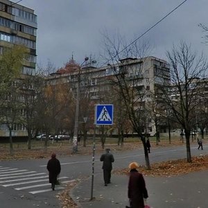 Akademika Kurchatova Street, 22, Kyiv: photo