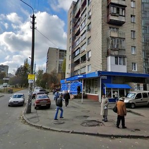 Holosiivskyi Avenue, 108к1, Kyiv: photo