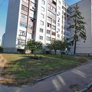 Mstyslavska vulytsia, 47 ، : صورة