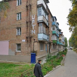 Vulytsia Bohdana Khmelnytskoho, 1, Vyshhorod: photo