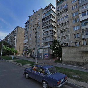 Vulytsia Mykoly Vashchuka, 13А, Vinnytsia: photo