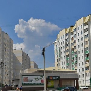 Воронеж, Улица 9 Января, 233/29: фото