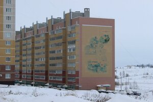 A.V. Aslamasa Street, 18, Cheboksary: photo