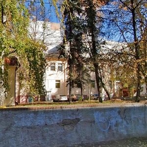 Bulvarno-Kudriavska Street, 37 ، كييف: صورة