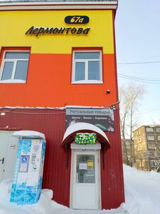Ulitsa Lermontova, 67А ، : صورة