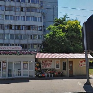 Одесса, Проспект Добровольского, 98: фото