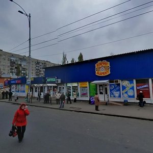 Volodymyra Sosiury Street, 2А, Kyiv: photo