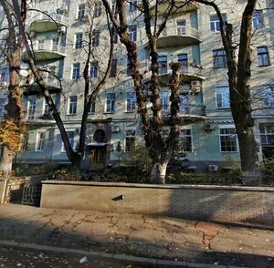 Akademika Bohomoltsa Street, 5, Kyiv: photo