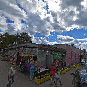 Pushkina Street, 1, : foto