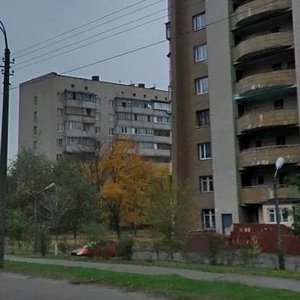 Volho-Donskyi Lane, 1, Kyiv: photo