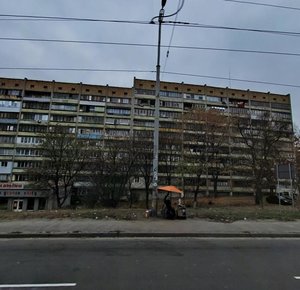 Mykhaila Kotelnykova Street, 87, Kyiv: photo