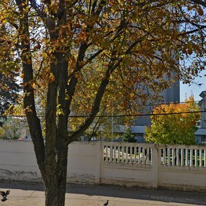 Niezaliezhnasci Avenue, 64к13, Minsk: photo