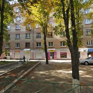 Oleha Olzhycha Street, 8, Kyiv: photo