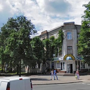 Mytnytska vulytsia, 14, Cherkasy: photo