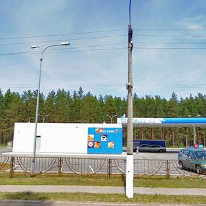 Leningradskoye shosse, 84, Priozersk: photo