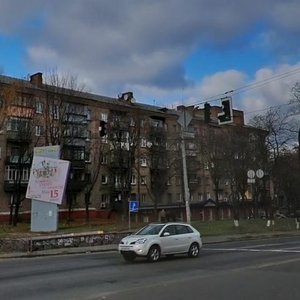 Oleny Telihy Street, 33/2, Kyiv: photo