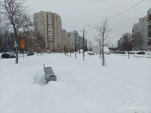 Санкт‑Петербург, Улица Кораблестроителей, 31к1: фото