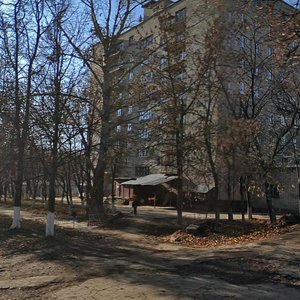 Kalinina Street, 3, Tula: photo