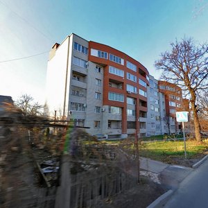 Bazhenova Street, 26, Ryazan: photo