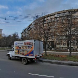 Pravdy Avenue, 96, Kyiv: photo