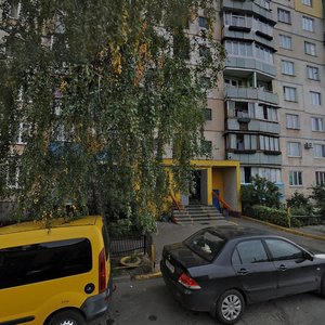 Raiduzhna Street, 20, Kyiv: photo