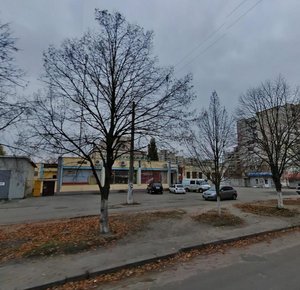 Pidlisna Street, 8А, : foto