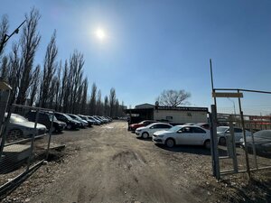 Воронеж, Улица Антонова-Овсеенко, 15И: фото