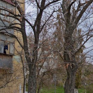 Admirala Serebryakova Embankment, 39, Novorossiysk: photo