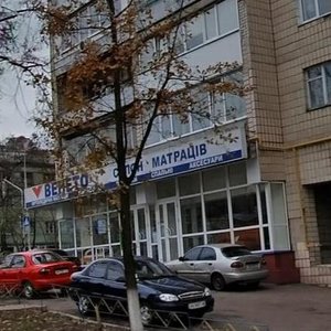 Viacheslava Chornovola Street, 33/30, Kyiv: photo