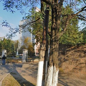 Vulytsia Briullova, 8, Zaporizhia: photo