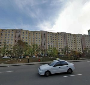 Heroiv Dnipra Street, 38, Kyiv: photo