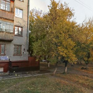 Timurovskaya Street, 74, Barnaul: photo